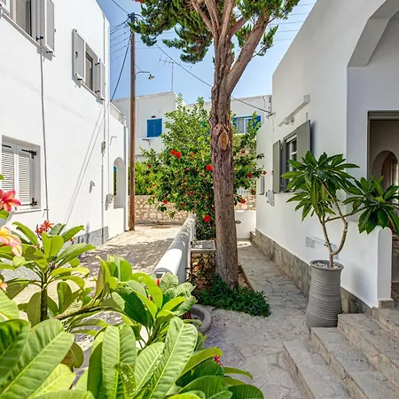 Apartment Silver Ammos