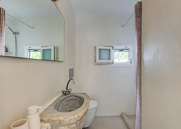 Silver Ammos باروس